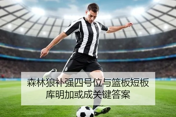 森林狼补强四号位与篮板短板 库明加或成关键答案